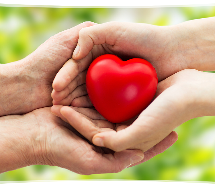 株式会社Lib（リヴ）